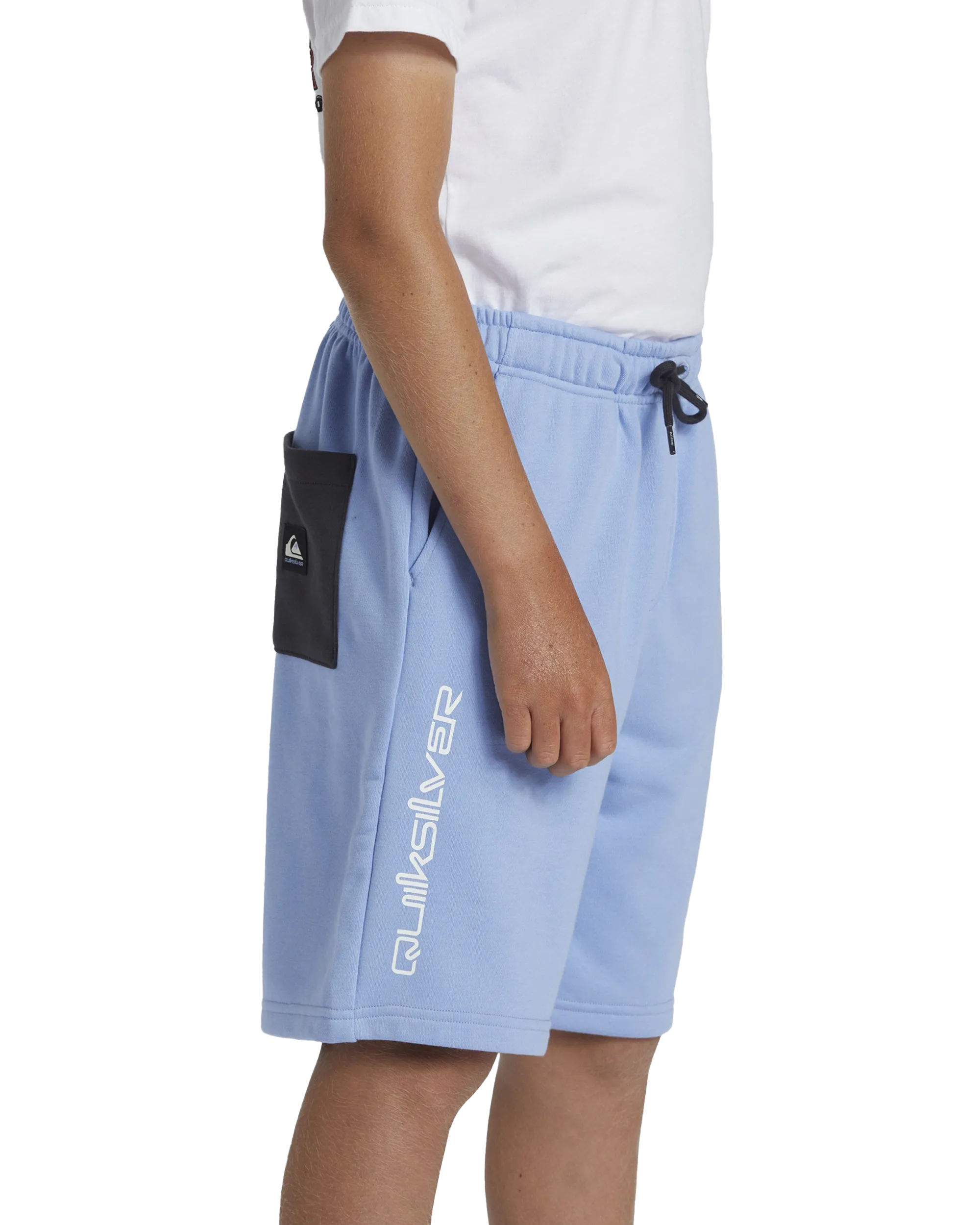 Boys Take Us Back Fleece Jogger Shorts in Hydrangea