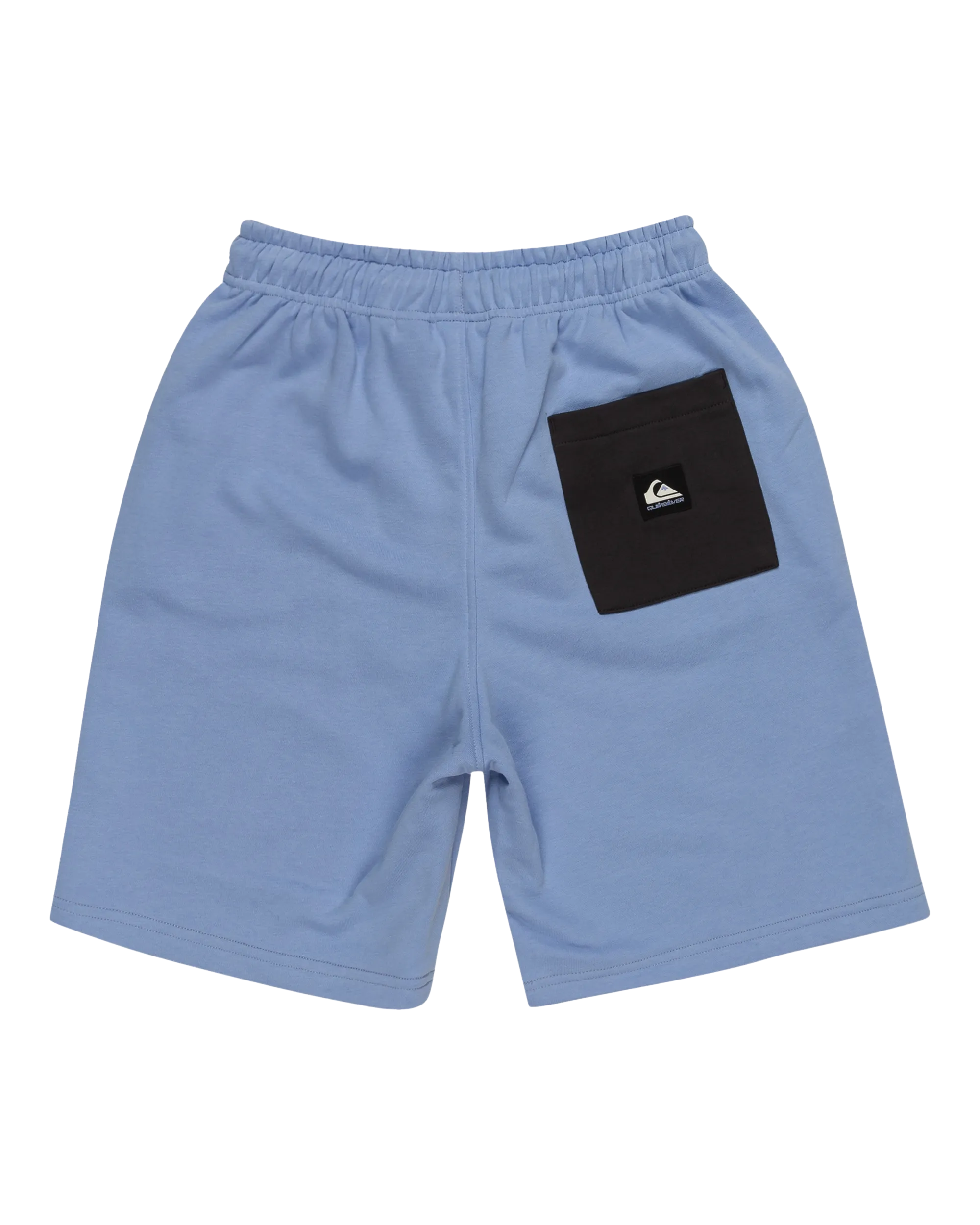 Boys Take Us Back Fleece Jogger Shorts in Hydrangea